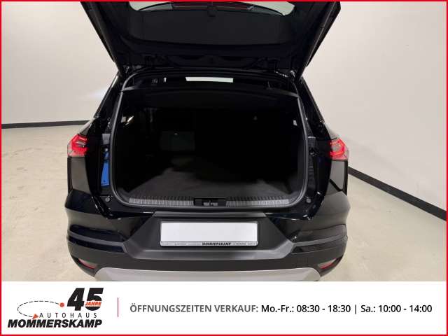 Fahrzeugbild eines Mitsubishi Grandis