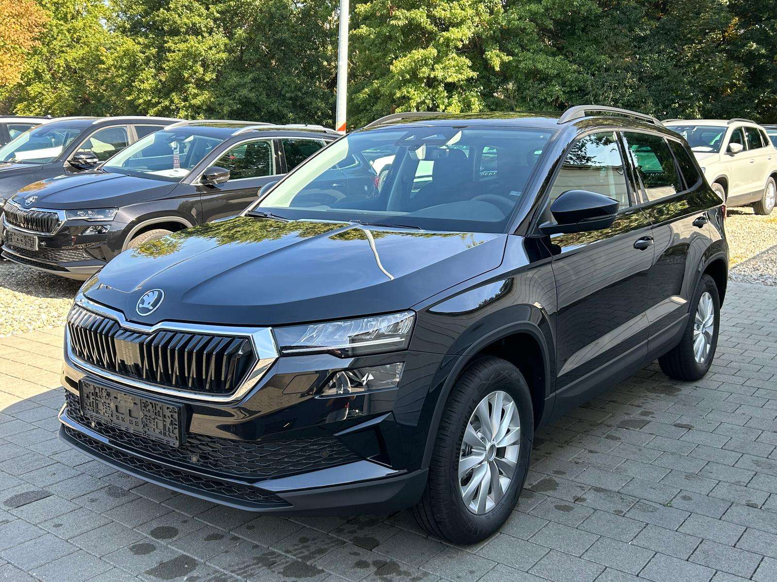 Fahrzeugbild eines Skoda Karoq