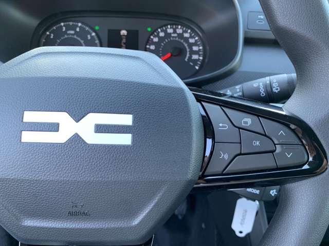 Fahrzeugbild eines Dacia Sandero
