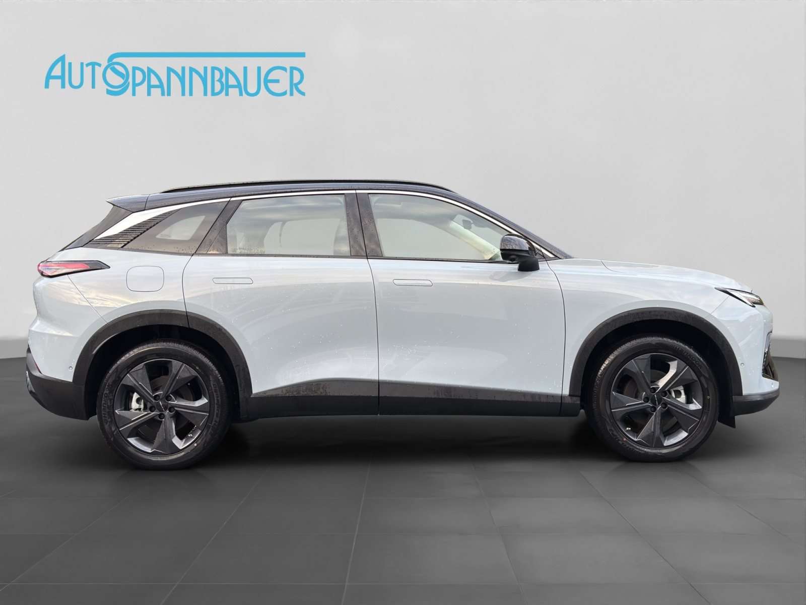 Fahrzeugbild eines BAIC X55