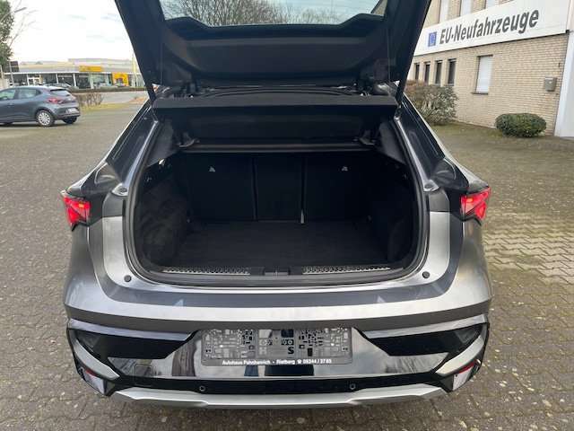 Fahrzeugbild eines Renault Rafale