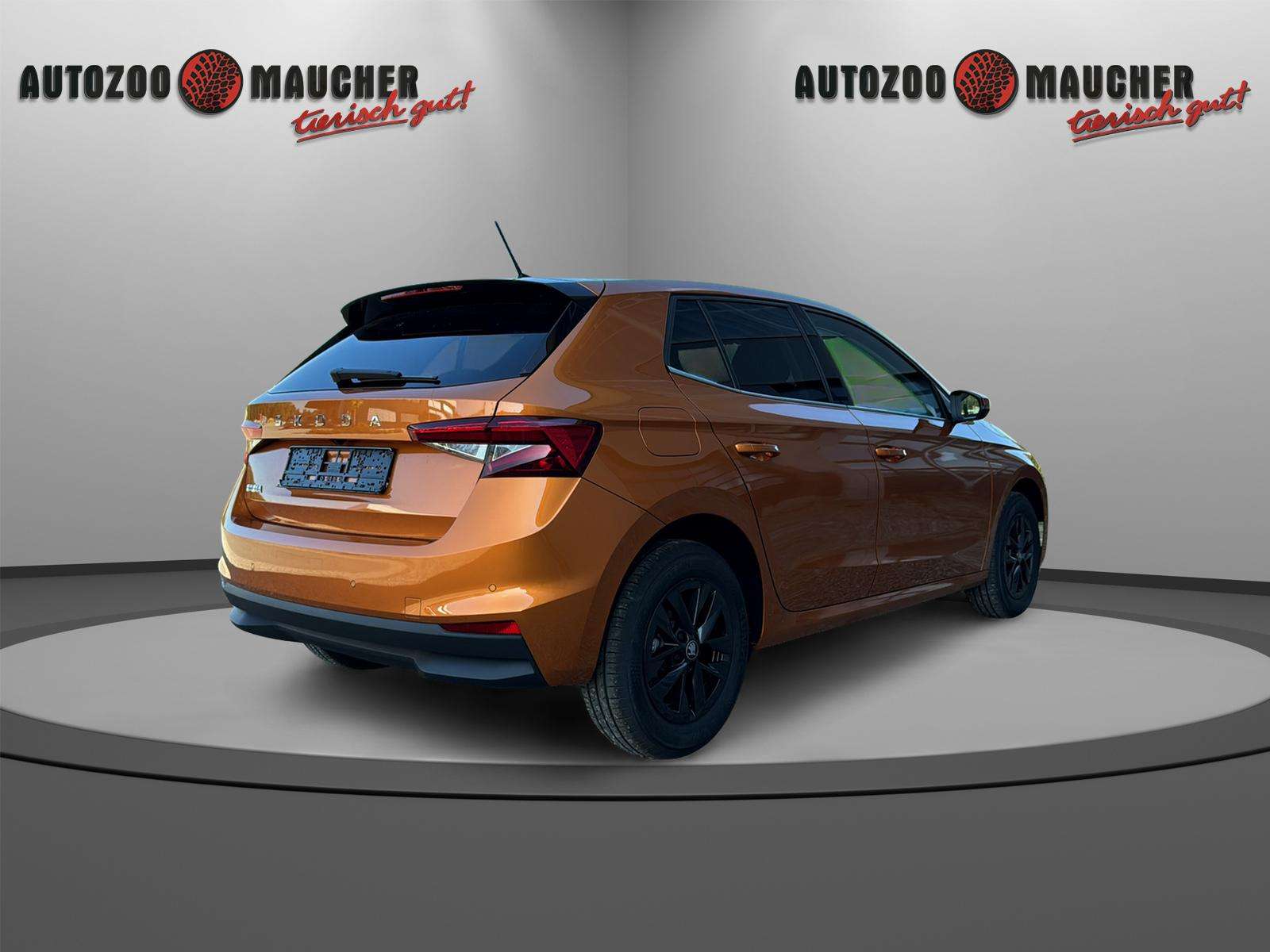 Fahrzeugbild eines Skoda Fabia