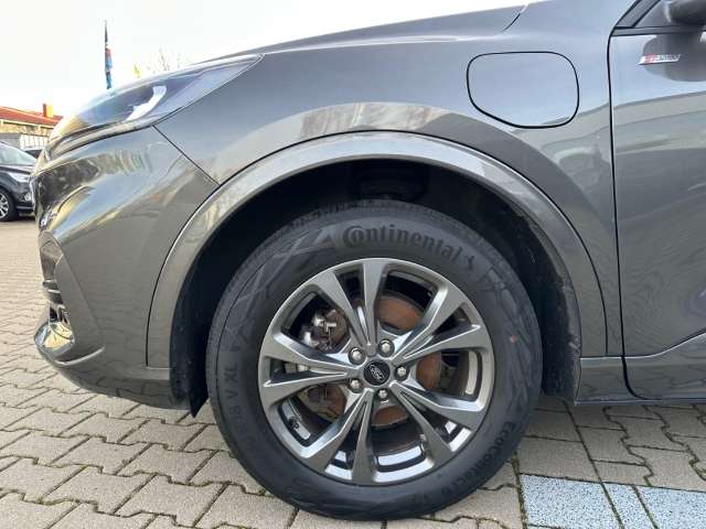 Fahrzeugbild eines Ford Kuga
