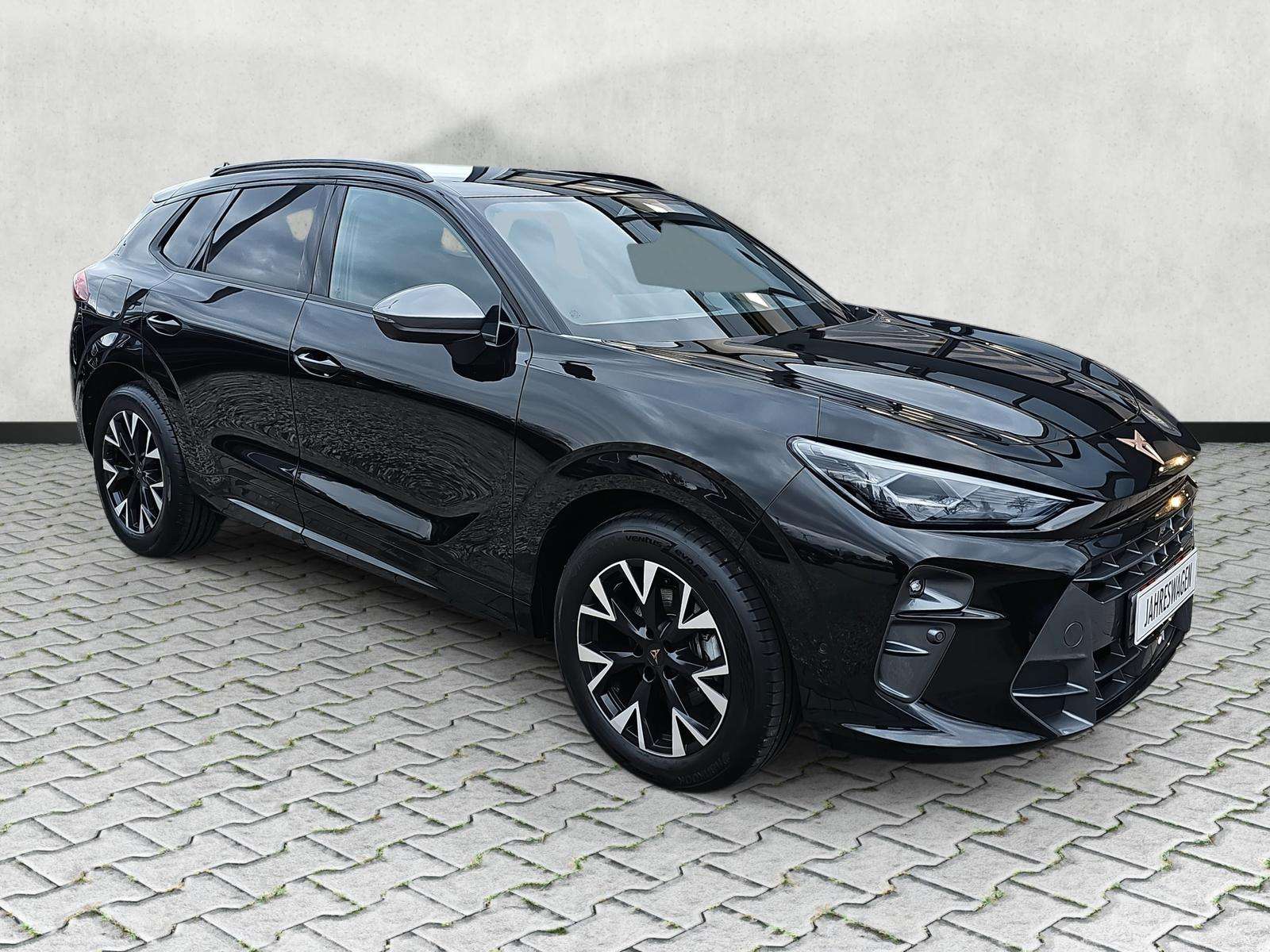 Fahrzeugbild eines CUPRA Terramar