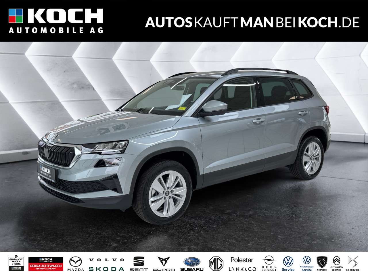 Fahrzeugbild eines Skoda Karoq