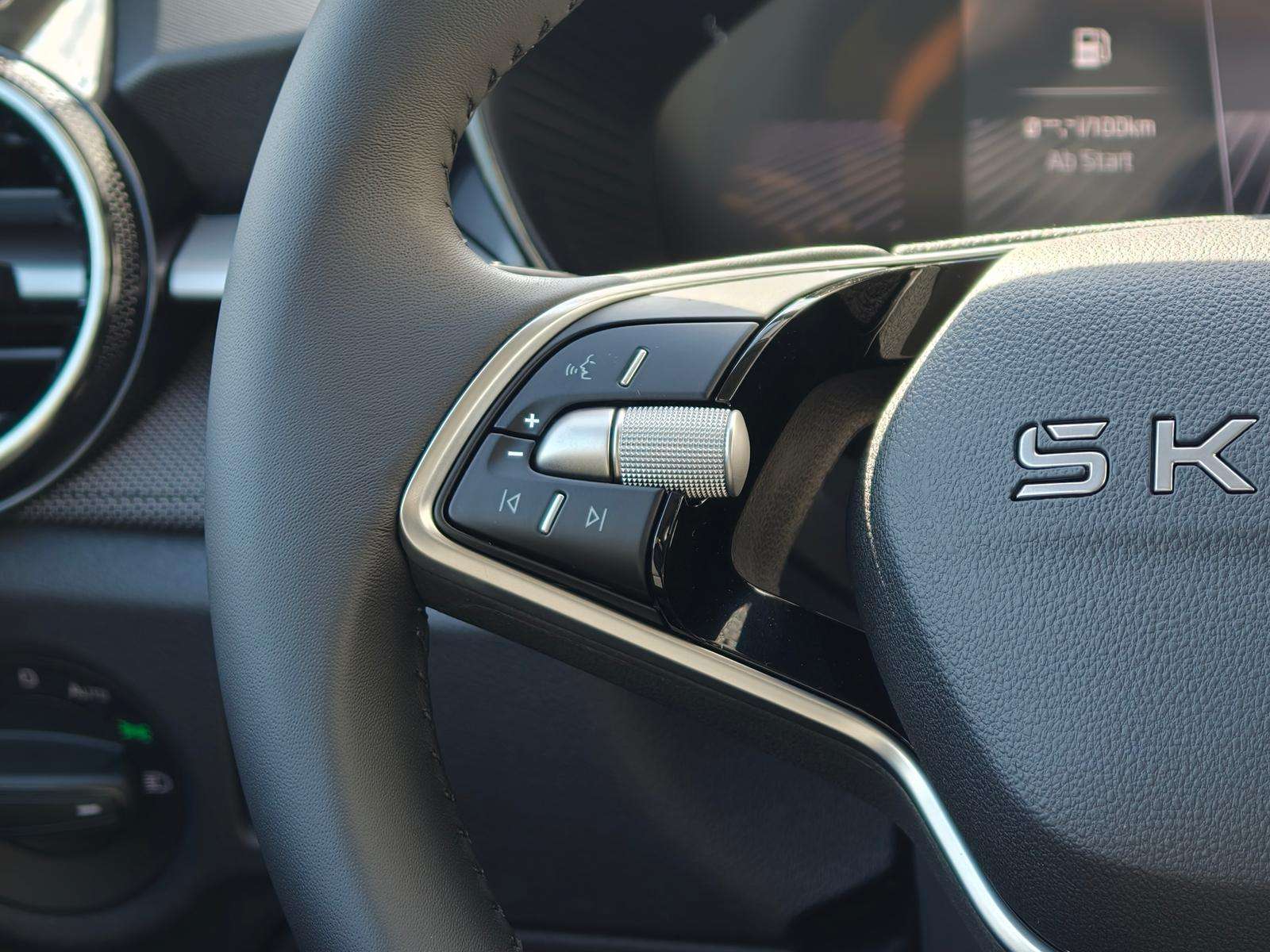 Fahrzeugbild eines Skoda Fabia