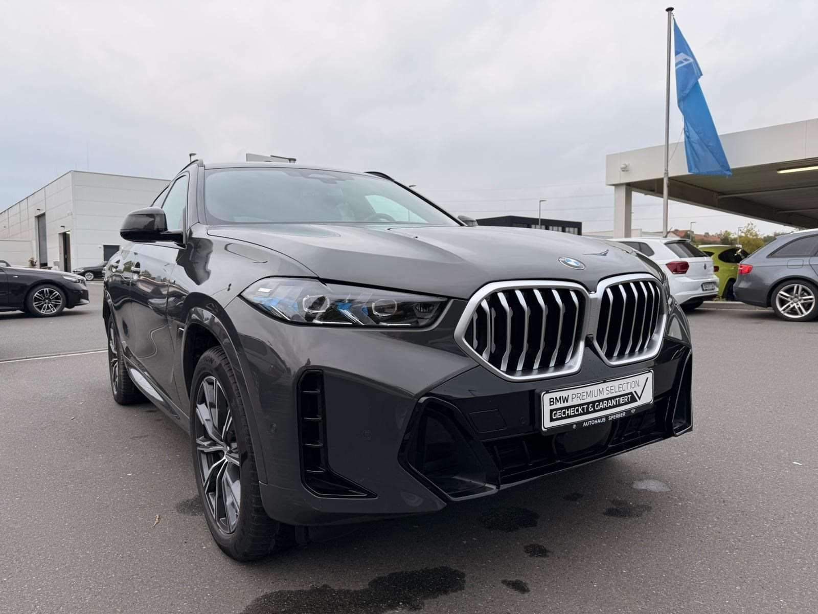 Fahrzeugbild eines BMW X6