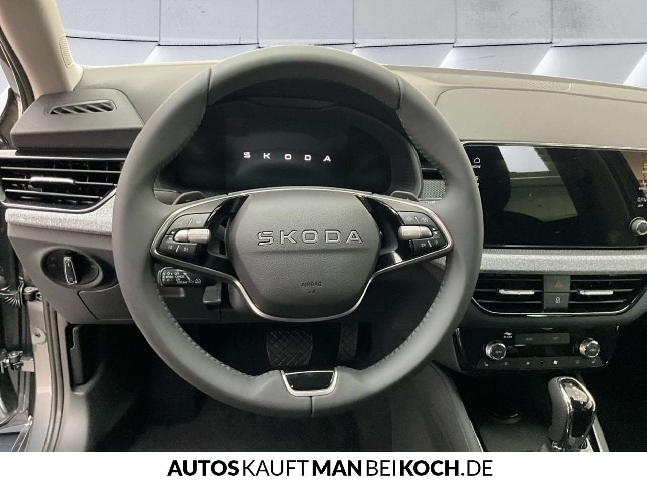 Fahrzeugbild eines Skoda Scala