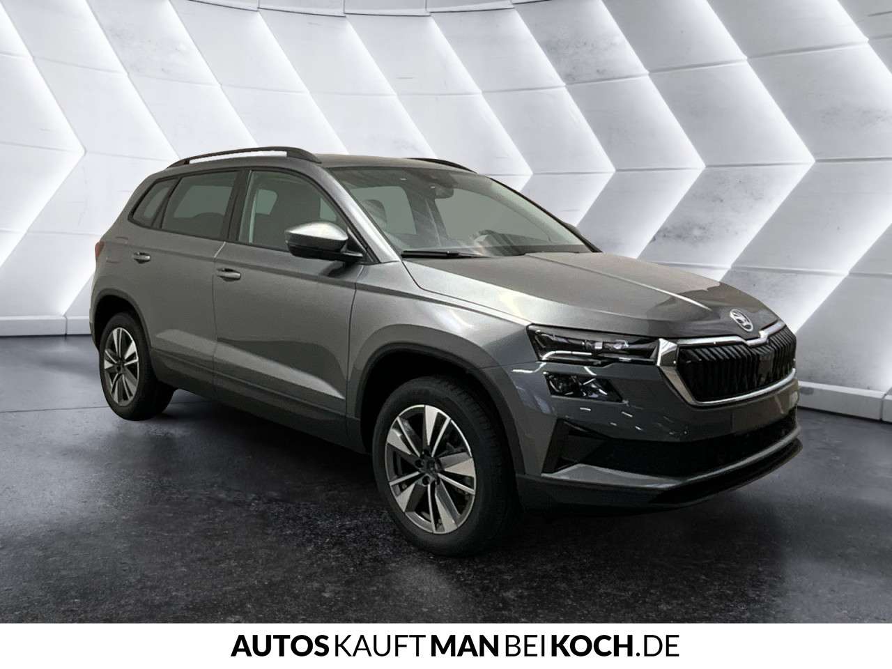 Fahrzeugbild eines Skoda Karoq