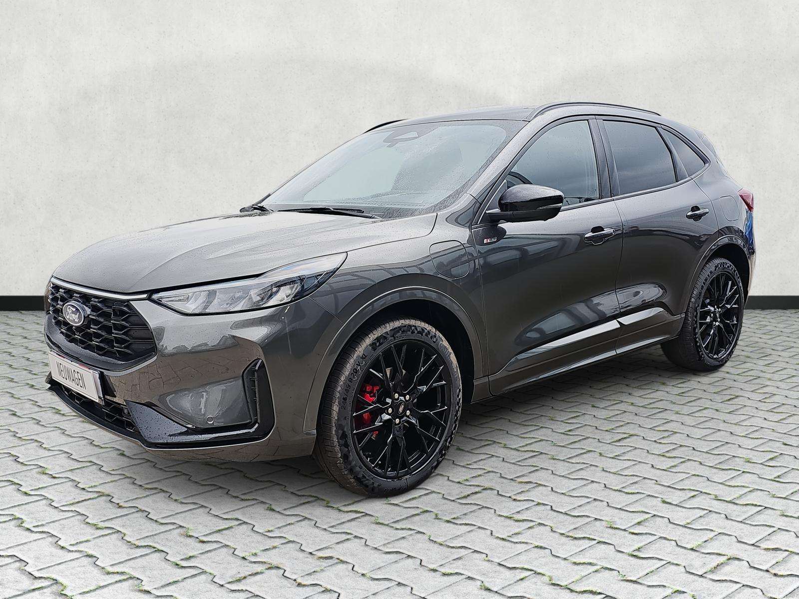 Fahrzeugbild eines Ford Kuga