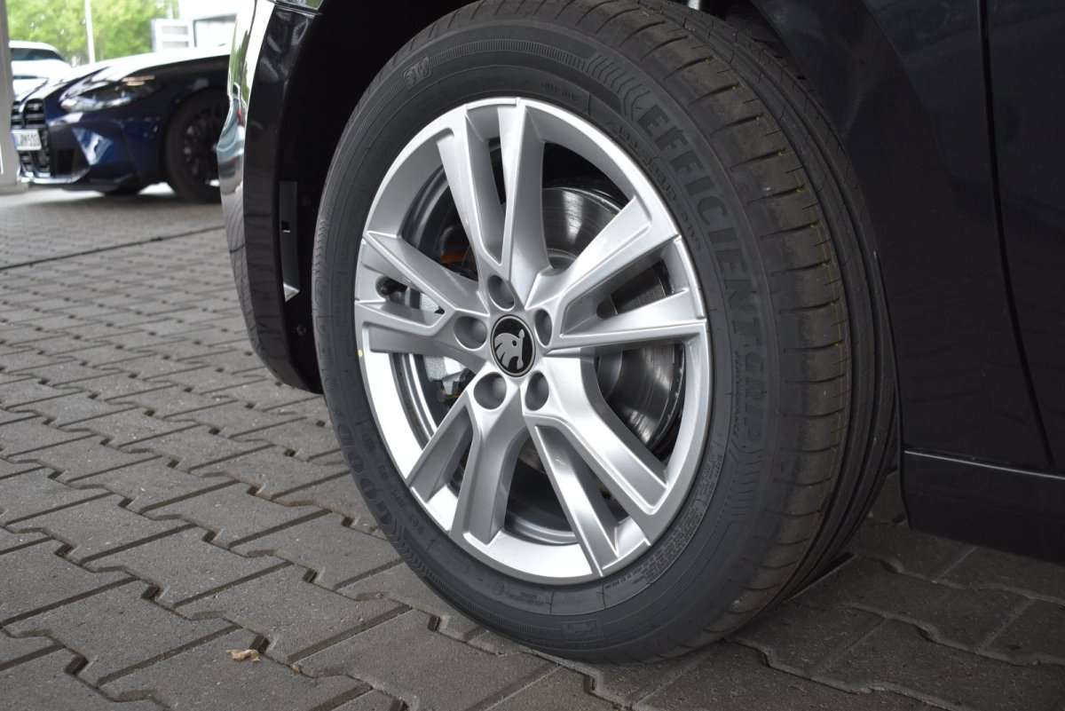 Fahrzeugbild eines Skoda Fabia
