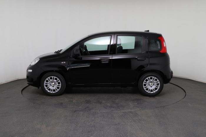 Fahrzeugbild eines Fiat Panda