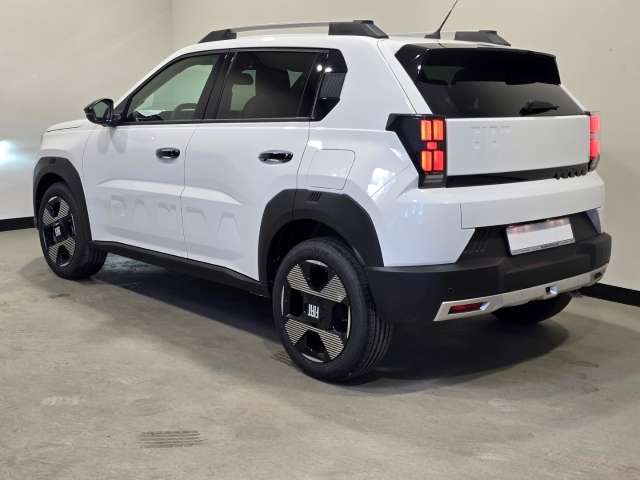 Fahrzeugbild eines Fiat Grande Panda