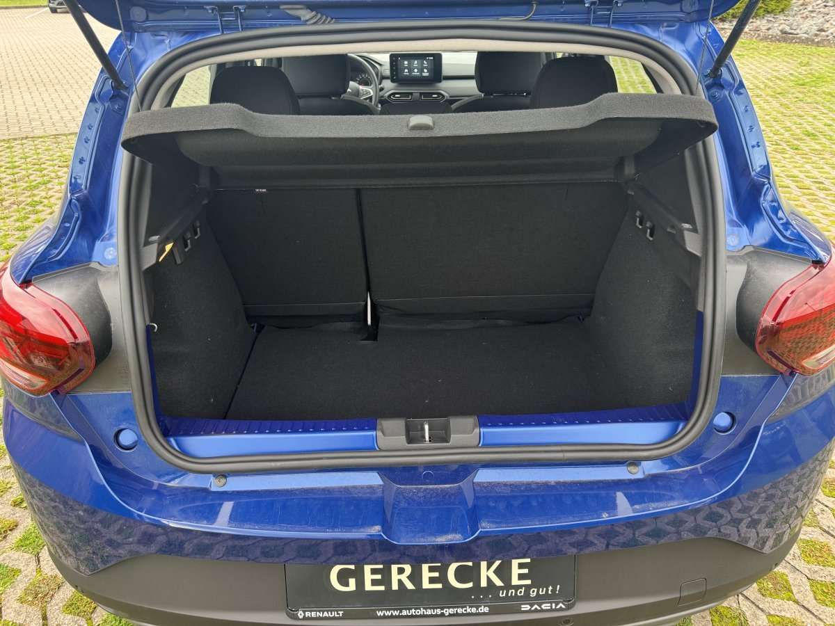 Fahrzeugbild eines Dacia Sandero