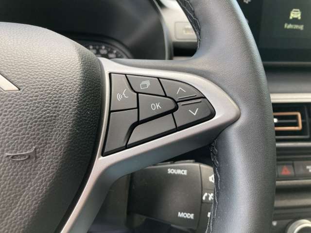 Fahrzeugbild eines Dacia Jogger