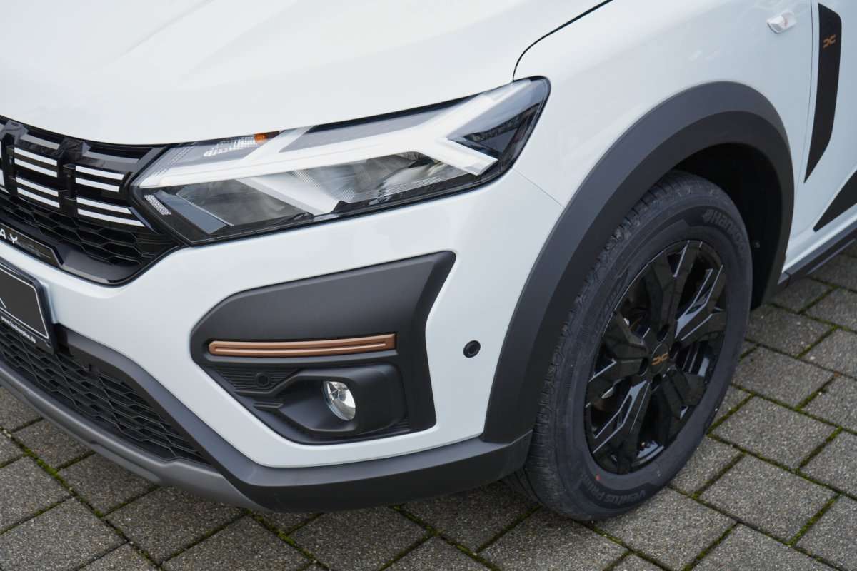 Fahrzeugbild eines Dacia Sandero