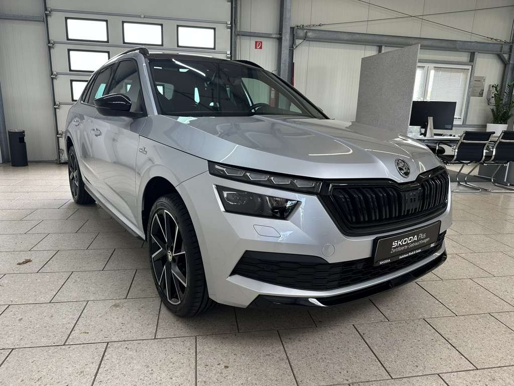 Fahrzeugbild eines Skoda Kamiq