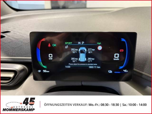 Fahrzeugbild eines BYD DOLPHIN