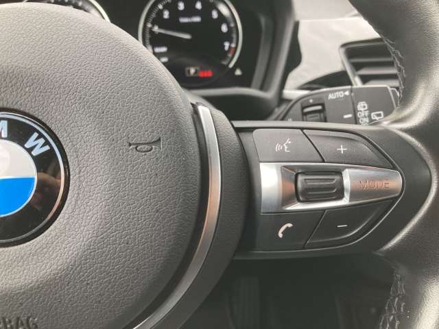 Fahrzeugbild eines BMW X2