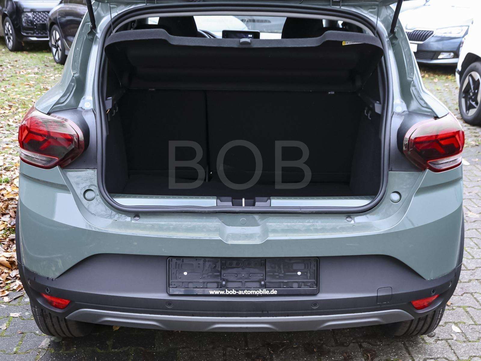 Fahrzeugbild eines Dacia Sandero