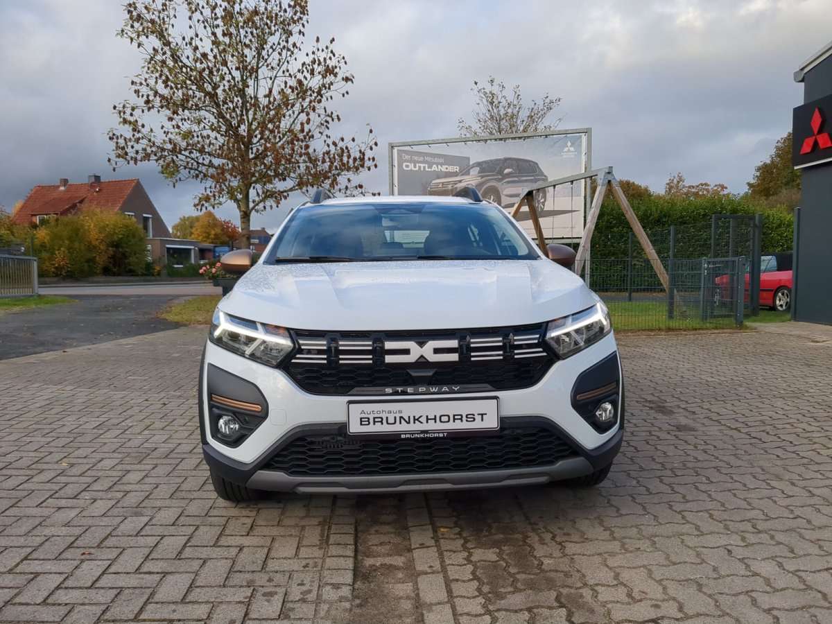 Fahrzeugbild eines Dacia Sandero