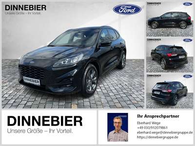 Bild Ford Kuga
