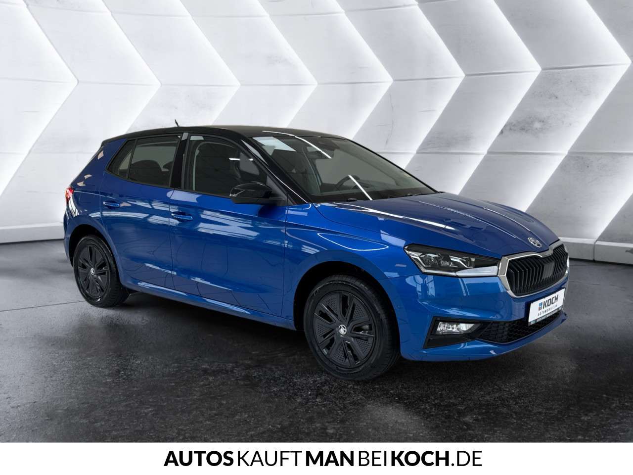Fahrzeugbild eines Skoda Fabia