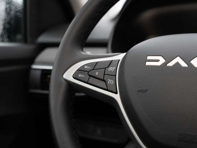 Fahrzeugbild eines Dacia Sandero