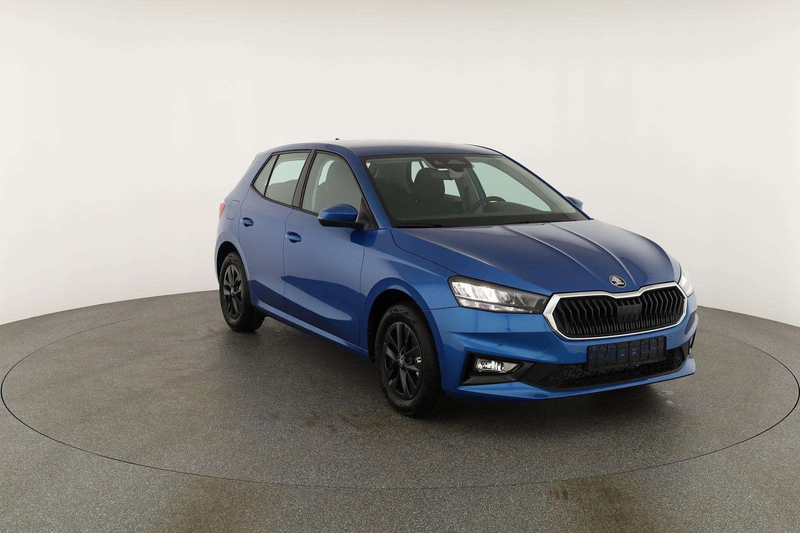 Fahrzeugbild eines Skoda Fabia