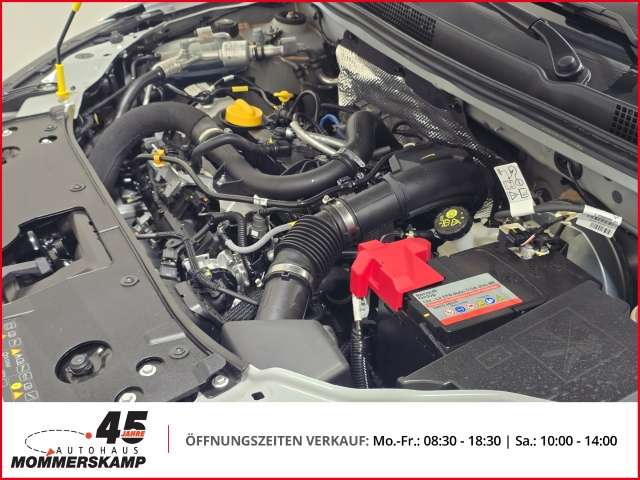 Fahrzeugbild eines Dacia Sandero