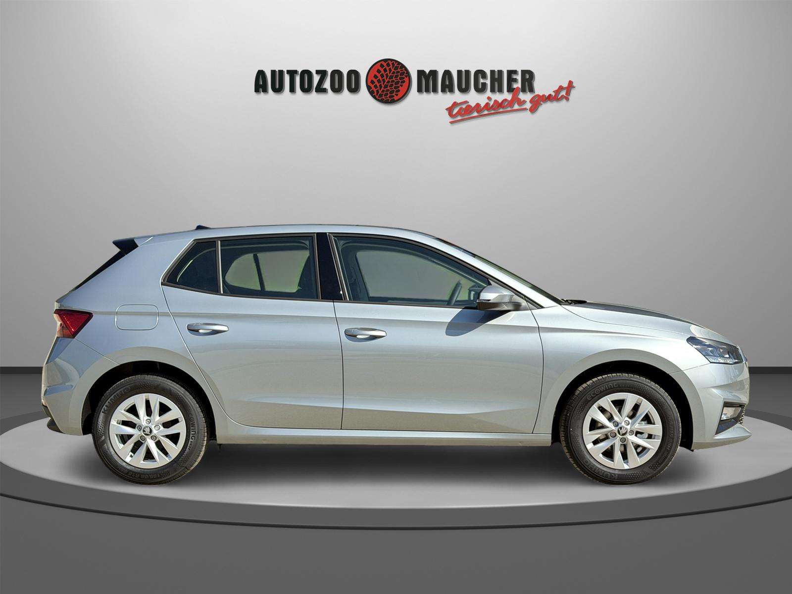 Fahrzeugbild eines Skoda Fabia