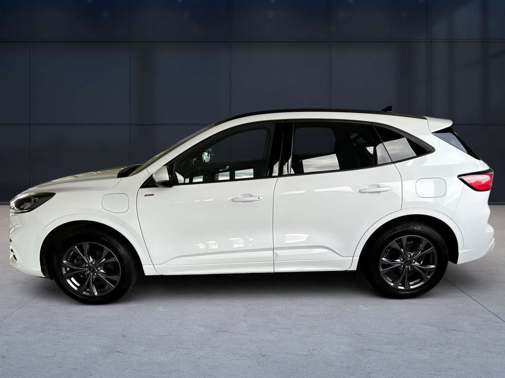 Fahrzeugbild eines Ford Kuga