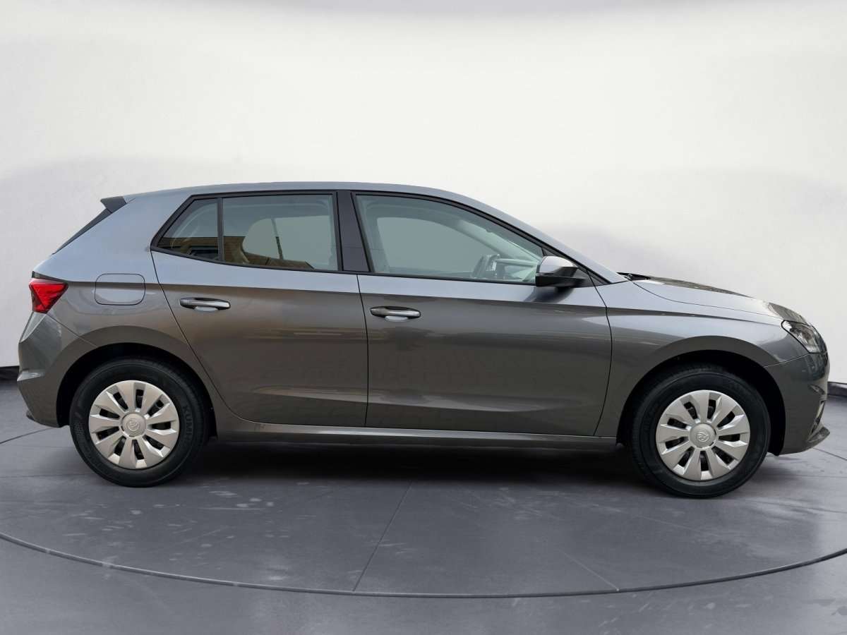 Fahrzeugbild eines Skoda Fabia