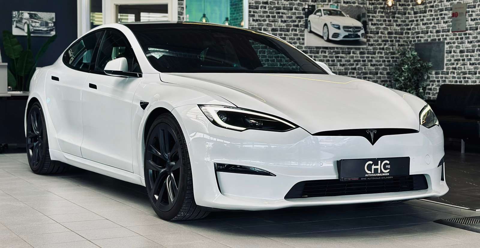 Fahrzeugbild eines TESLA Model S