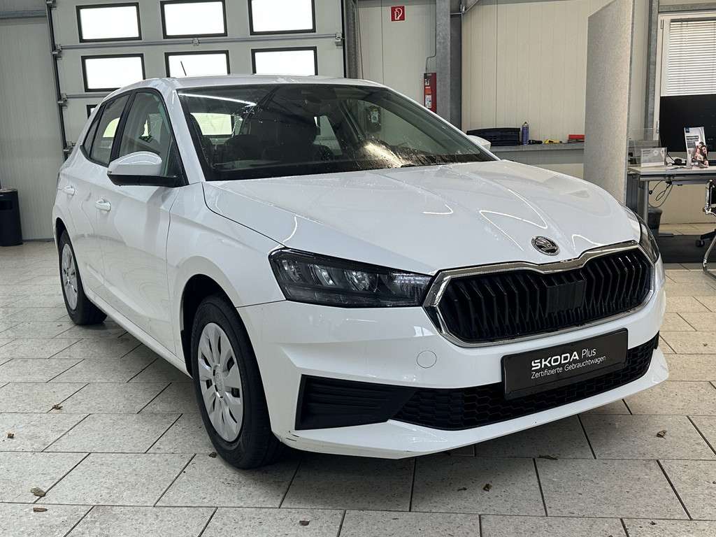 Fahrzeugbild eines Skoda Fabia