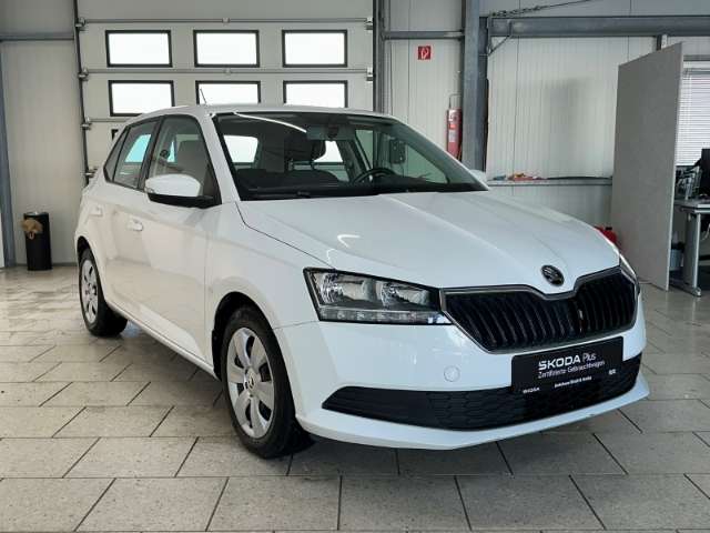 Fahrzeugbild eines Skoda Fabia