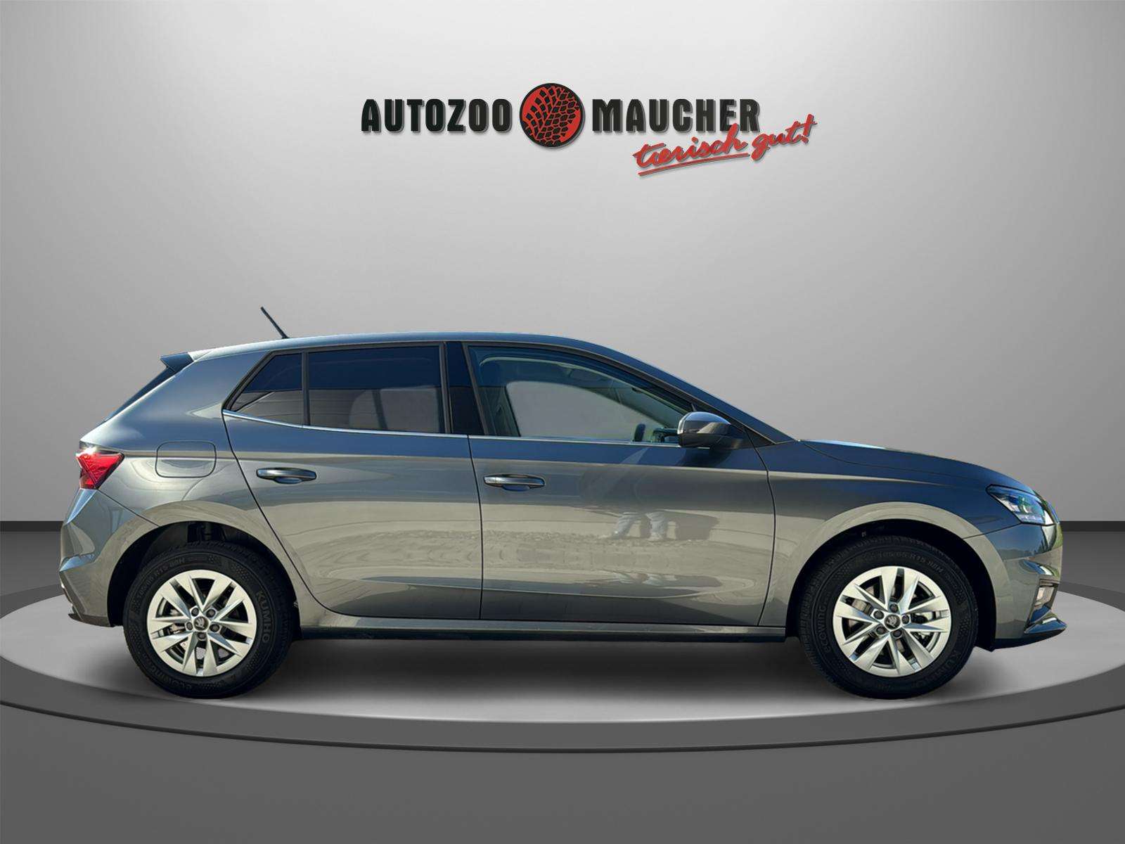 Fahrzeugbild eines Skoda Fabia