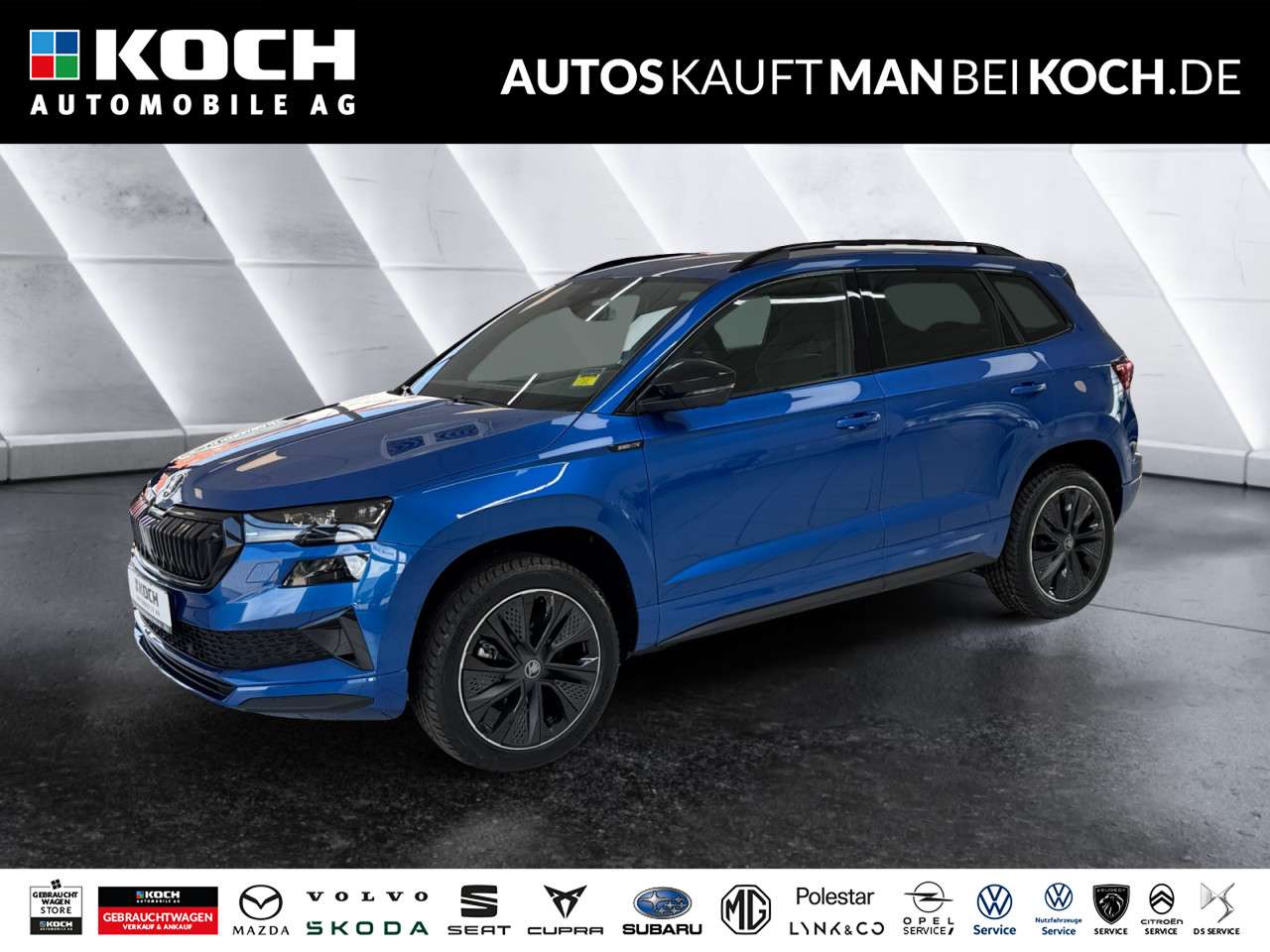 Fahrzeugbild eines Skoda Karoq
