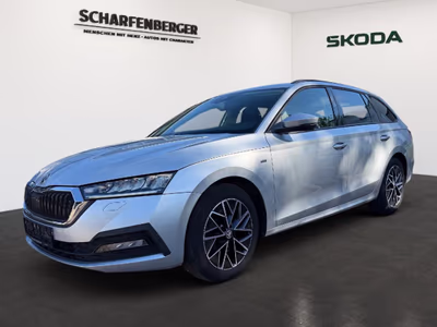 Bild Skoda Octavia