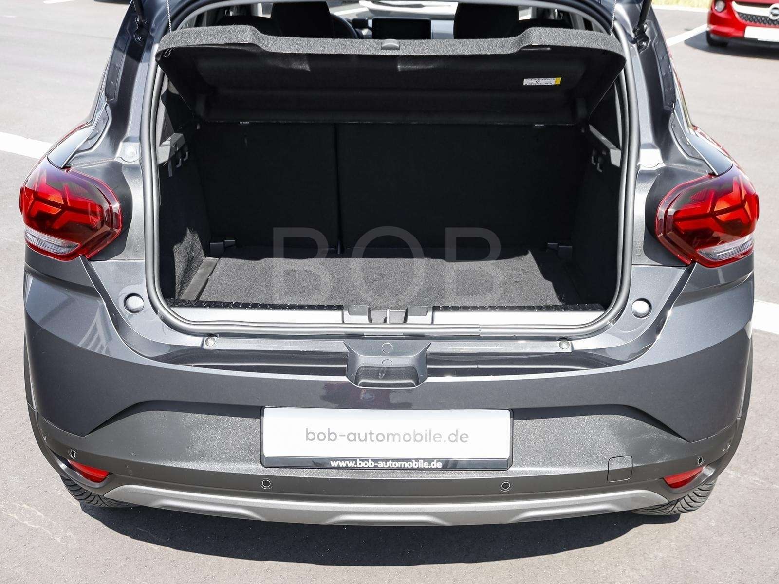 Fahrzeugbild eines Dacia Sandero