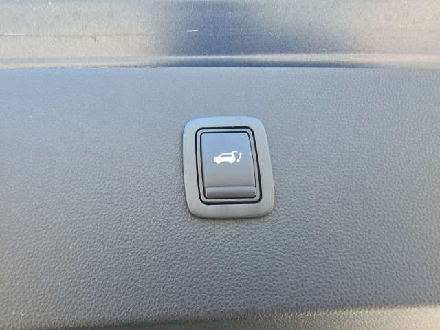 Fahrzeugbild eines Dacia Bigster