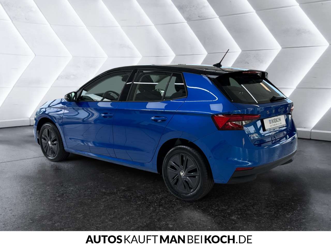 Fahrzeugbild eines Skoda Fabia