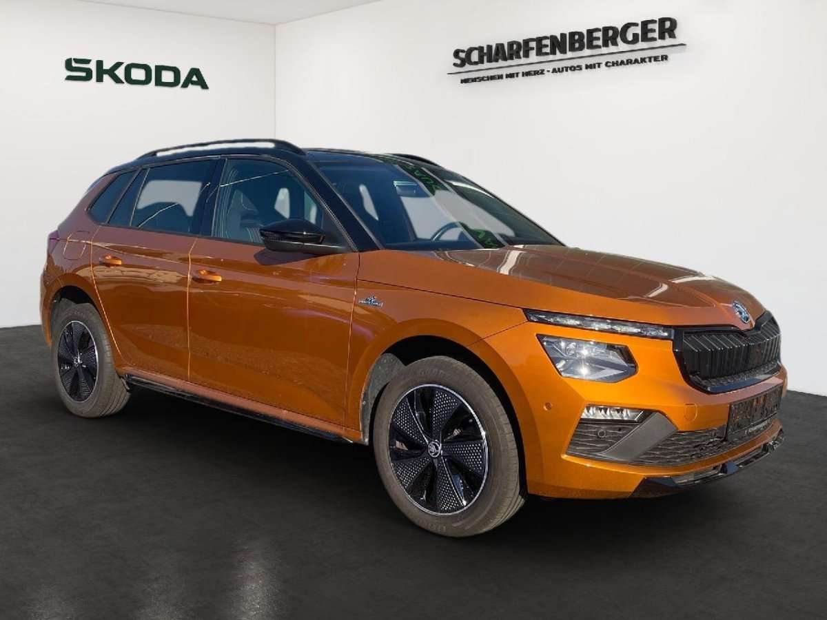 Fahrzeugbild eines Skoda Kamiq
