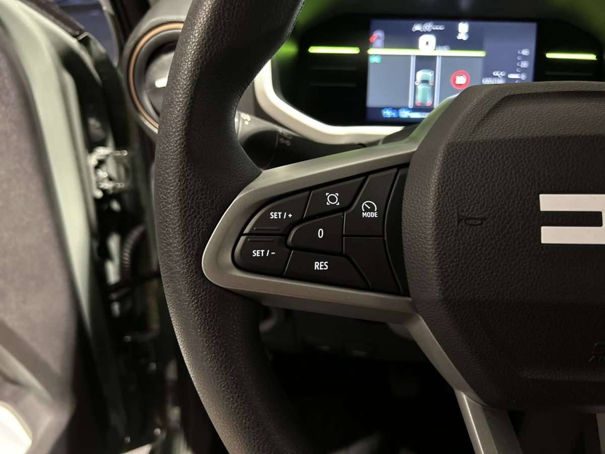 Fahrzeugbild eines Dacia Spring