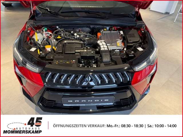 Fahrzeugbild eines Mitsubishi Grandis