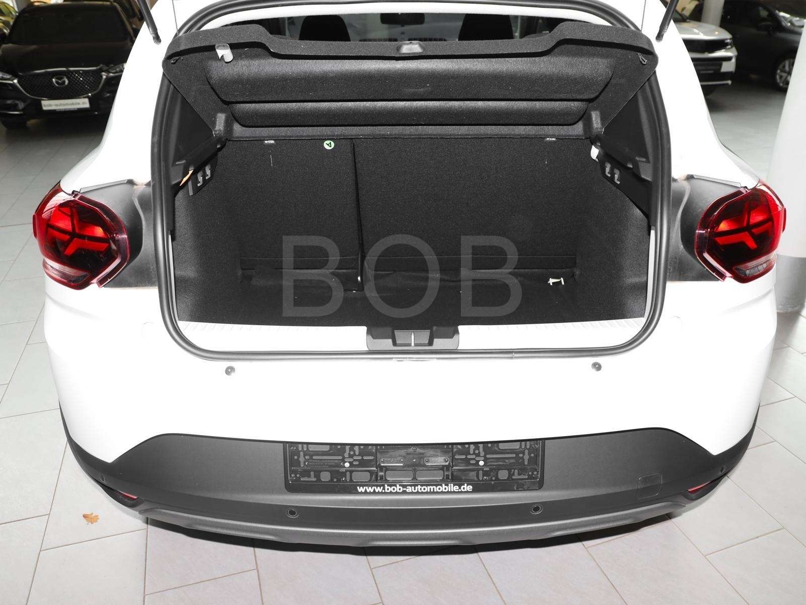 Fahrzeugbild eines Dacia Sandero