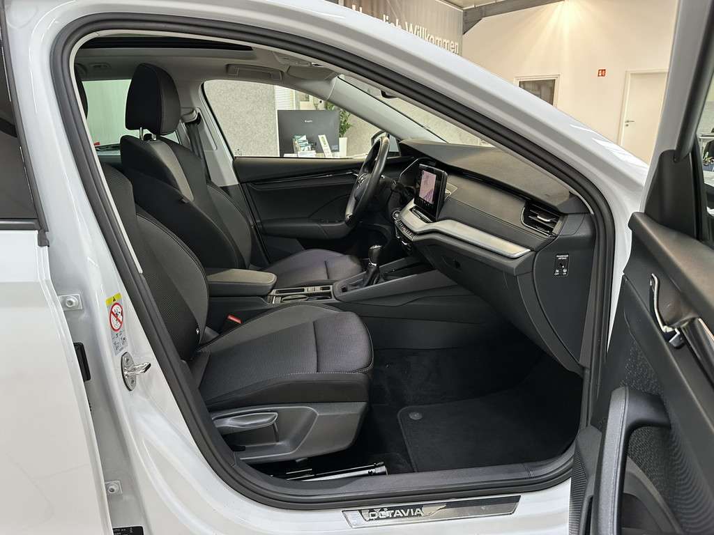 Fahrzeugbild eines Skoda Octavia