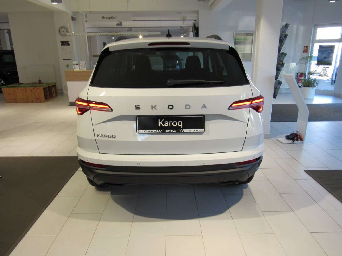 Fahrzeugbild eines Skoda Karoq