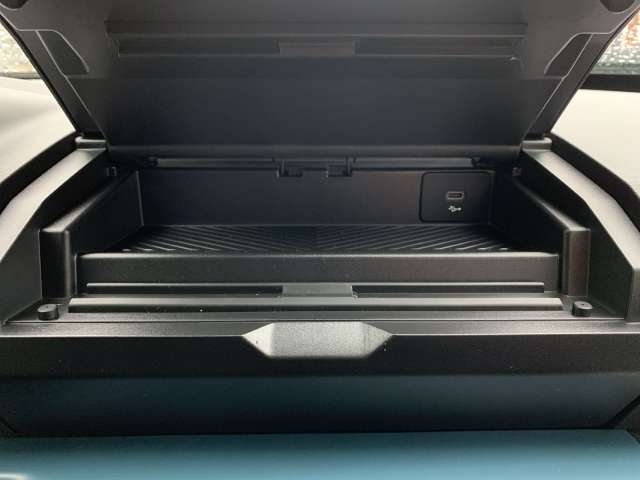 Fahrzeugbild eines Dacia Spring