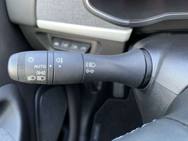 Fahrzeugbild eines Renault ZOE